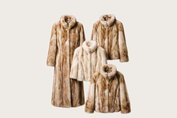 吕梁兴县回收皮草衣服
